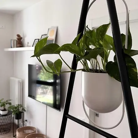 Apartment Casa Giona